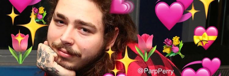 favsarcasm's profile banner image