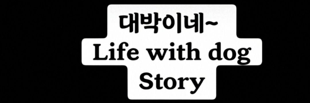 campinglink's profile banner image