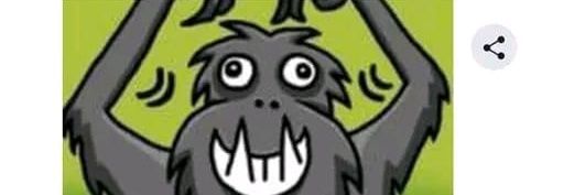 PedroFunder's profile banner image
