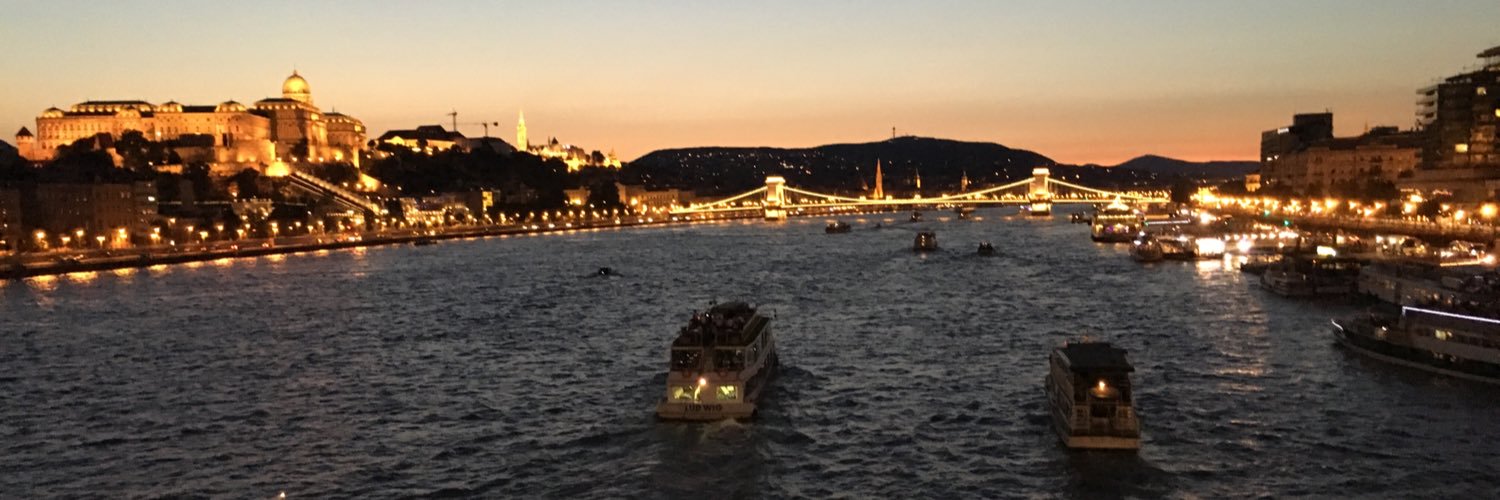 Ehsan Forouzideh banner