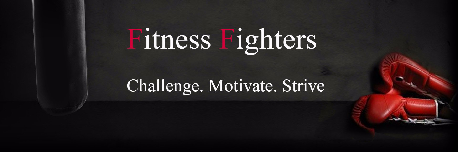 FitFighters101's profile banner image