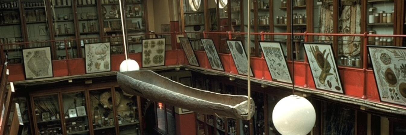Mark Nesbitt's banner