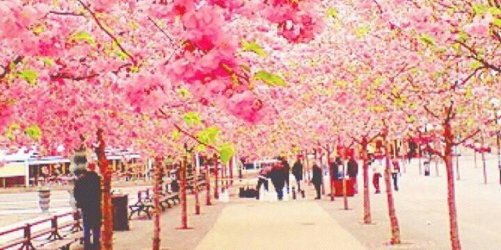 26_sojo's profile banner image