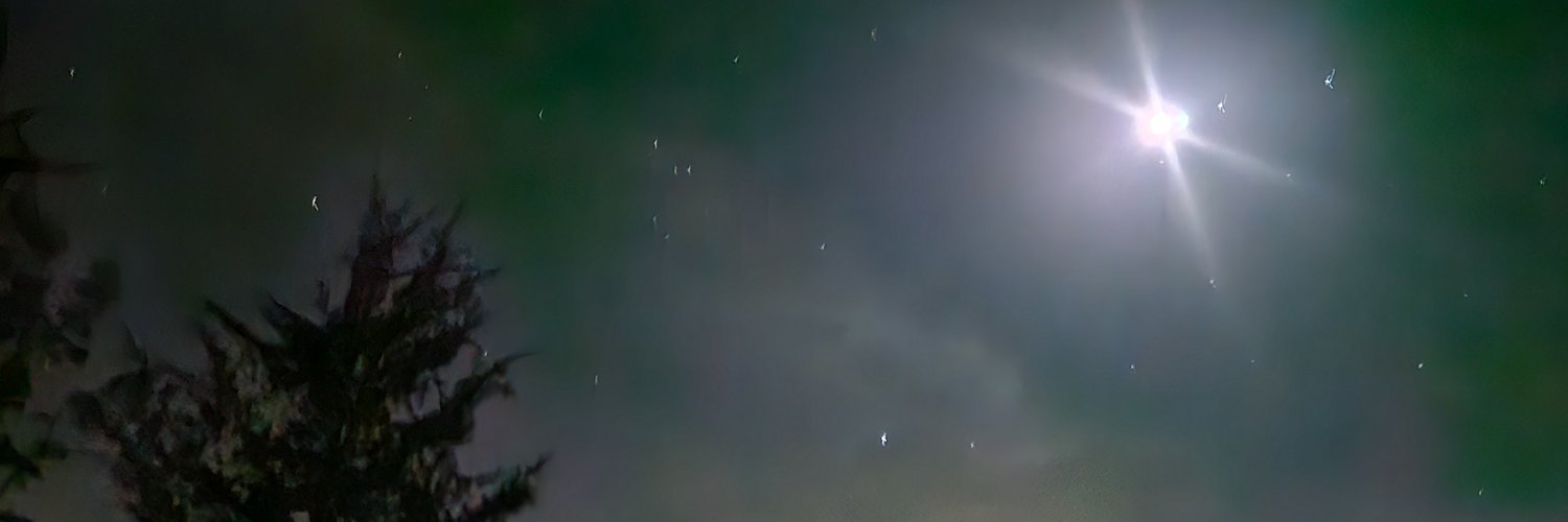 Jacques de Molay banner