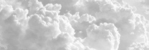 mellidecameron's profile banner image