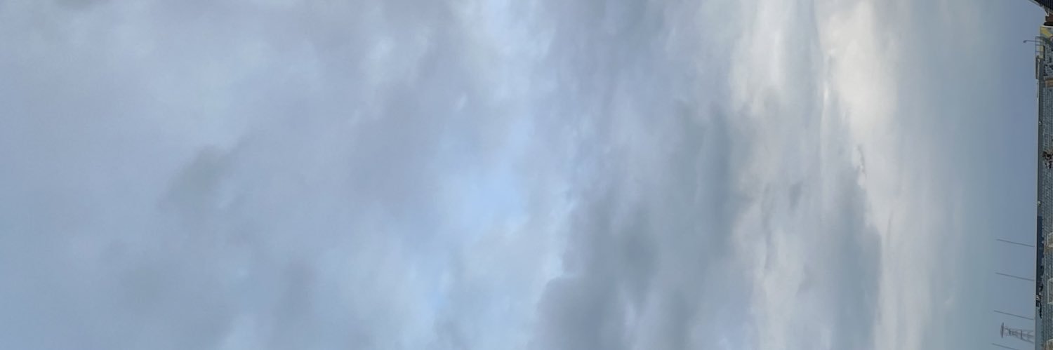 steve banner