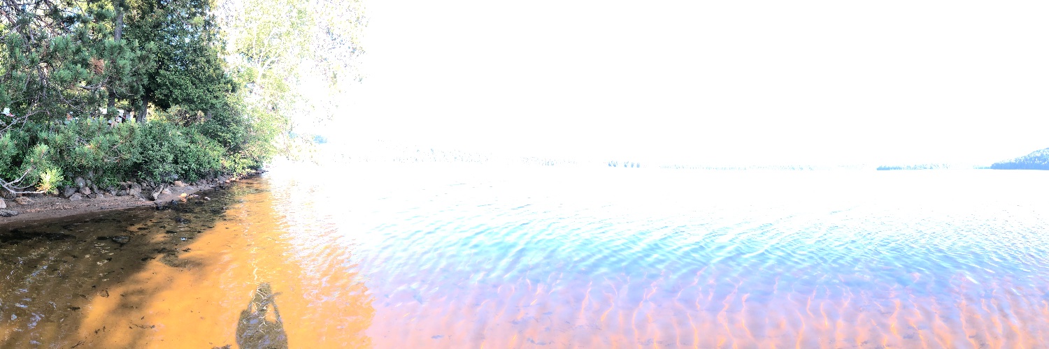halucynate's profile banner image