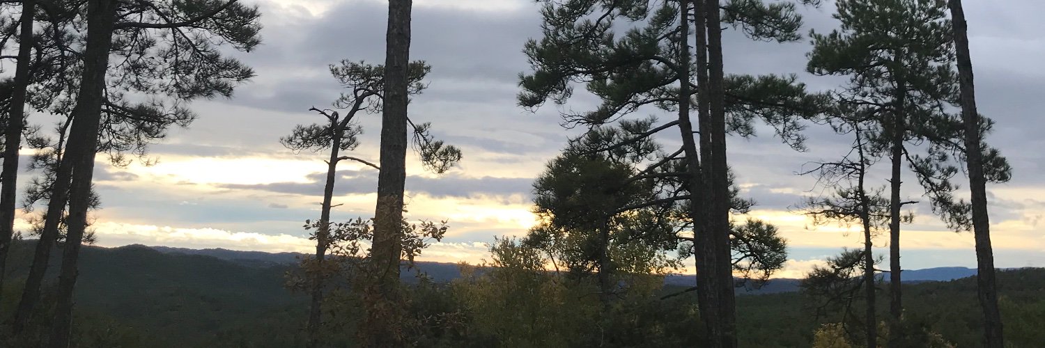 nnumss's profile banner image