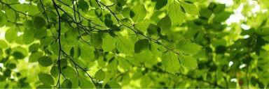 huggingcartah's profile banner image