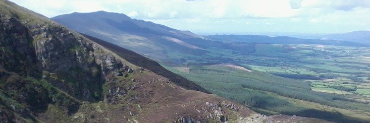 ⬣ fyfe79 ☘️ banner