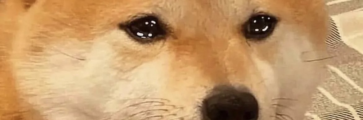 httpjabi___'s profile banner image