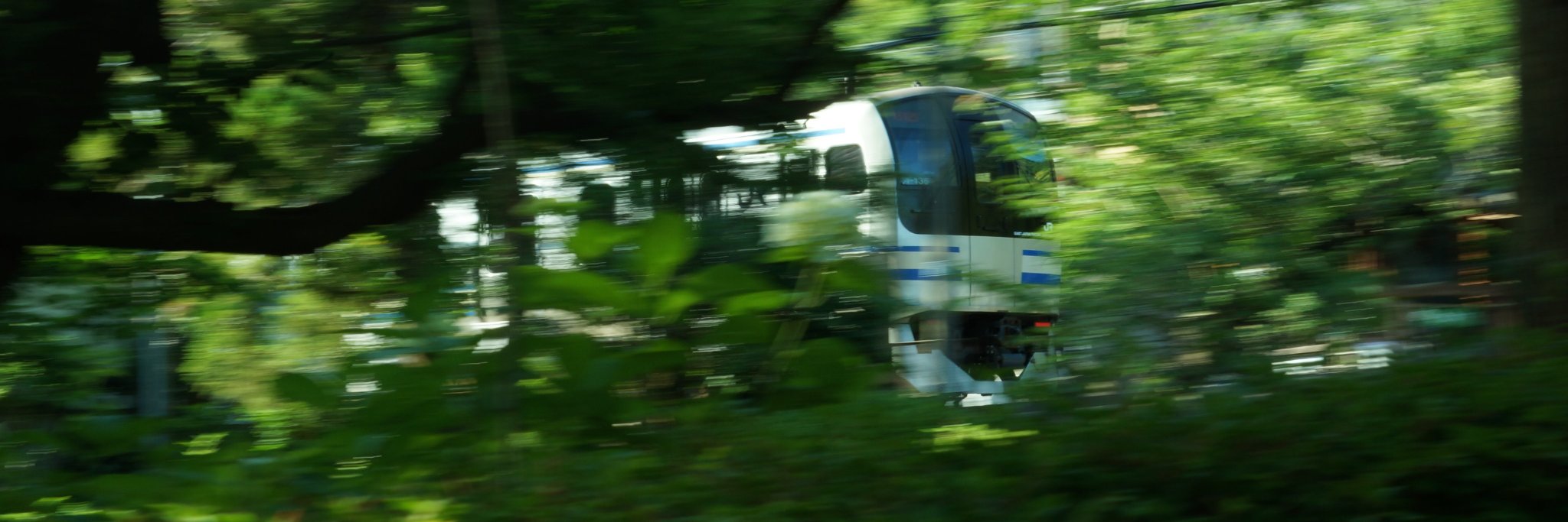 marooooon__'s profile banner image