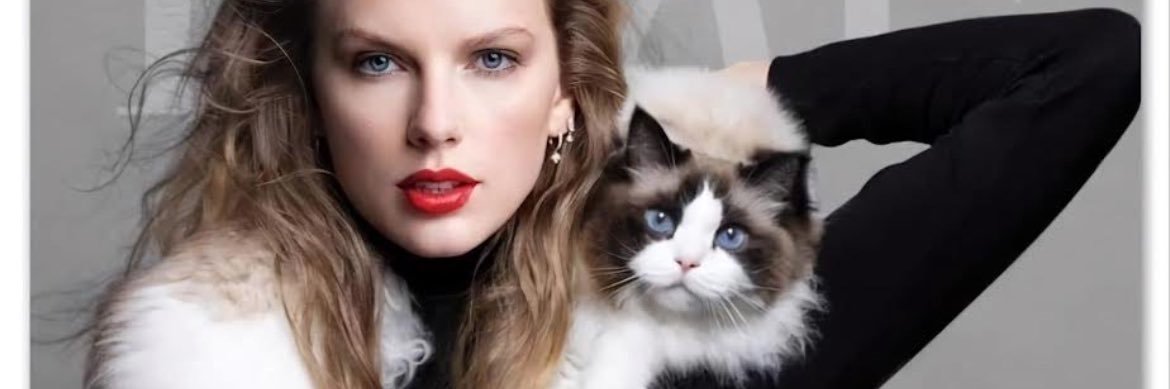 AtPolitiCat's profile banner image