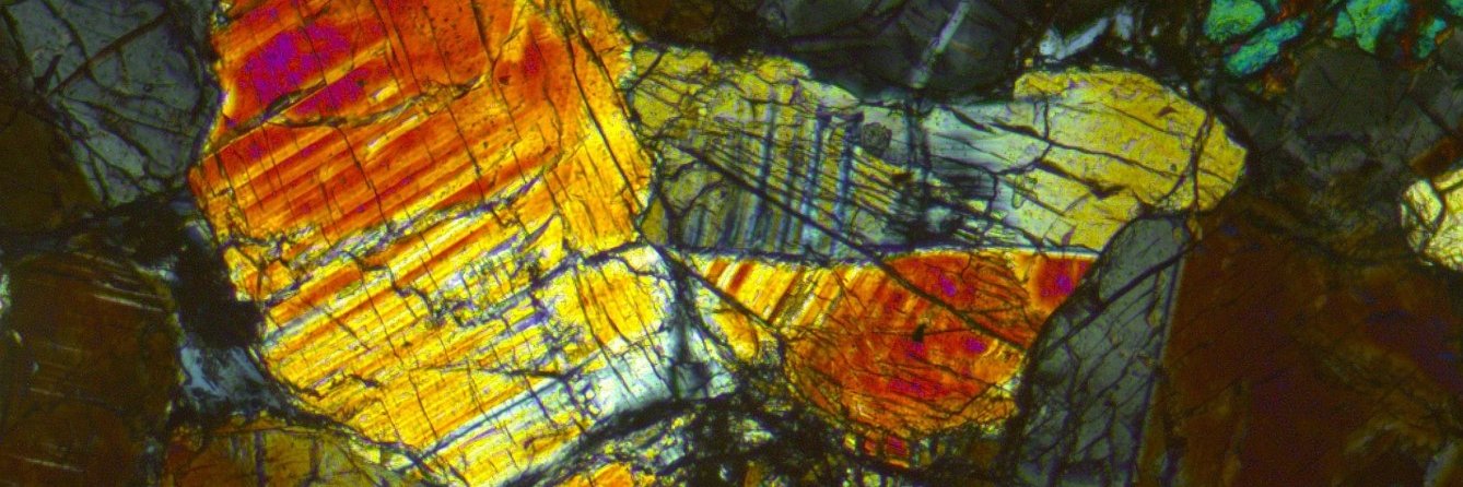 Laura Jenkins banner