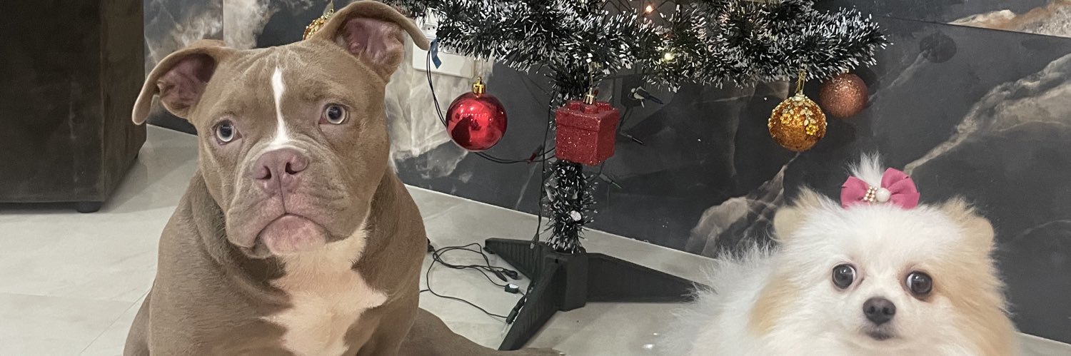 amandadsn_'s profile banner image