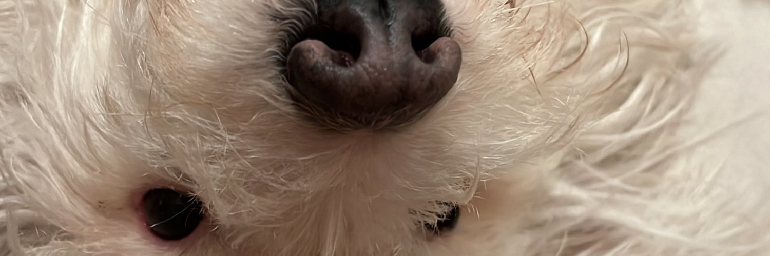 feportorod's profile banner image