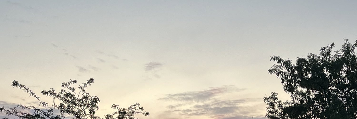 lastmelsdiary's profile banner image
