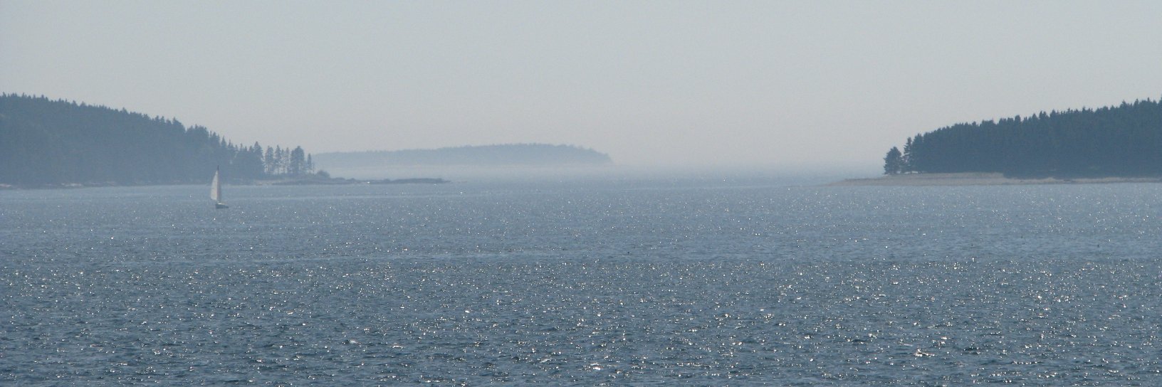 Nick Lynn PhD banner