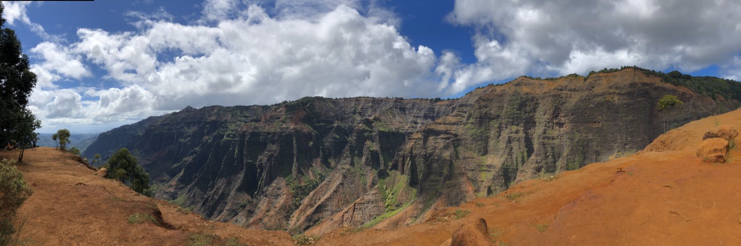 Fervent Flâneur banner