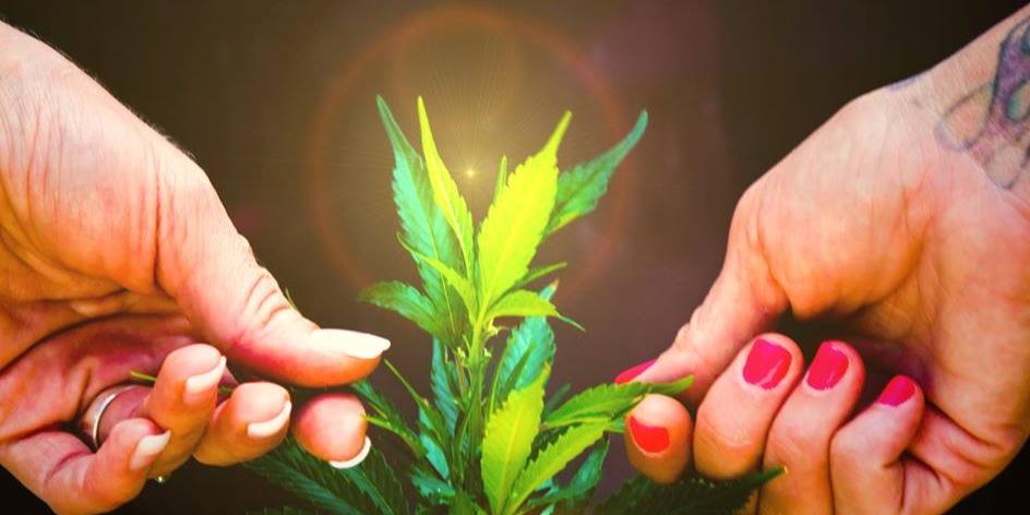 CannaHeatheRN's profile banner image