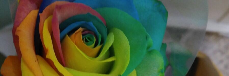 Piera  Pistis banner