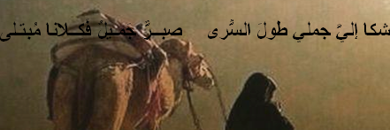 بَقايا الظِّلِّ مِنْ رَكْبٍ رَحَل banner