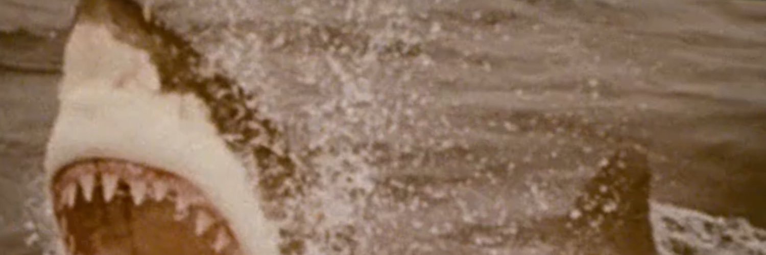 NYPD915am's profile banner image