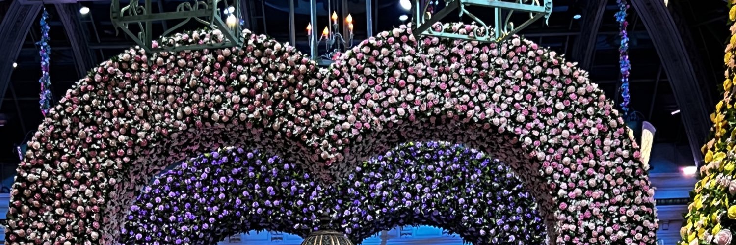 Dvelezm1's profile banner image