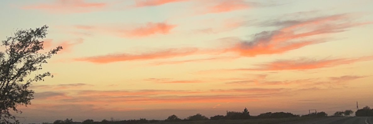 brookefroid1's profile banner image