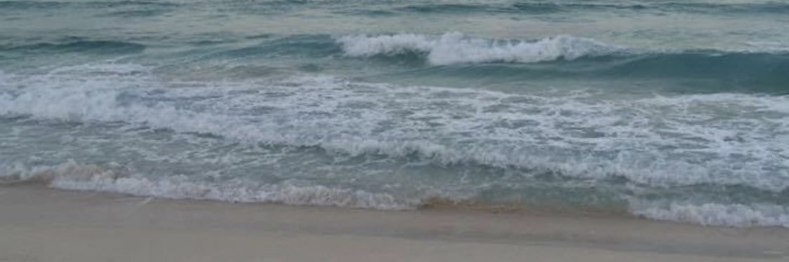 AshlynnMock's profile banner image