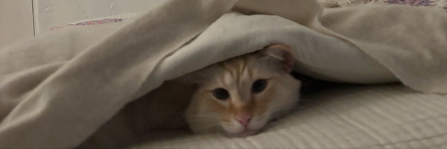 _zoebutler_'s profile banner image