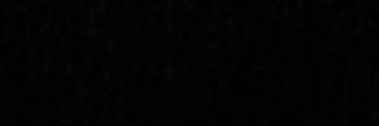 patyotza's profile banner image
