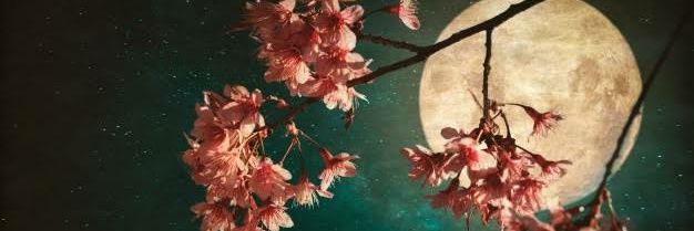 𝓜𝓲𝓪 banner