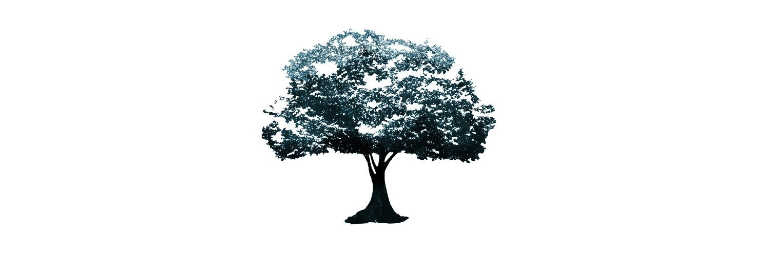 CanopyCrest's profile banner image