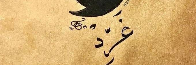hodhaifa's profile banner image