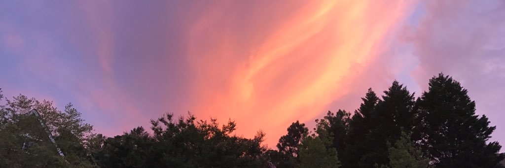jennykel's profile banner image