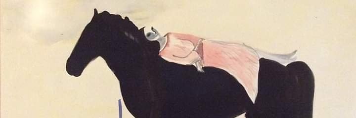 sallywickenden's profile banner image