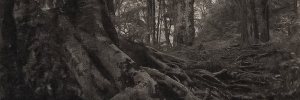 jvccky Profile Banner