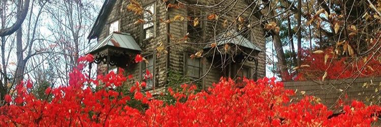 AlbieAndSage's profile banner image