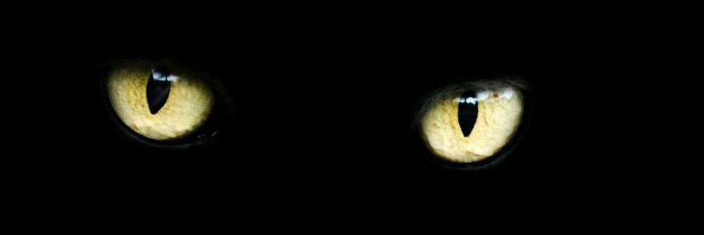 jotalvc2's profile banner image