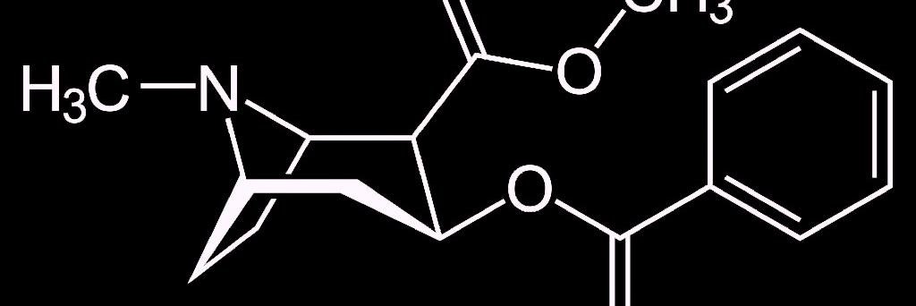 🌌🦂1️⃣ banner