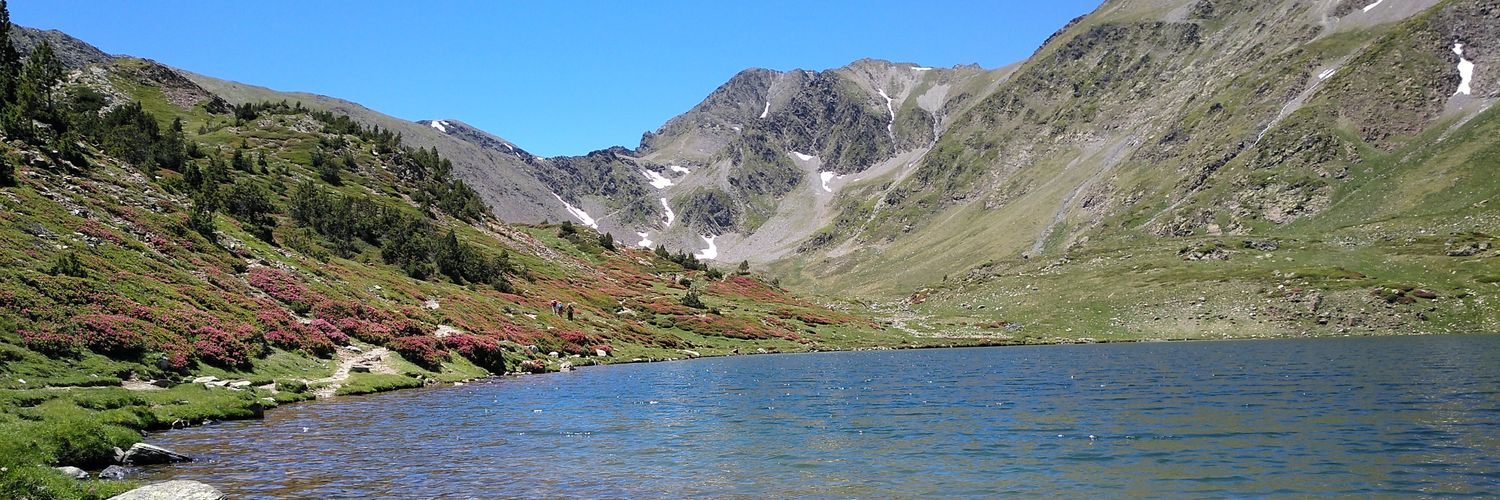 joanmorera's profile banner image