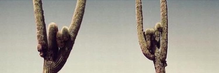 nikkimarzan's profile banner image