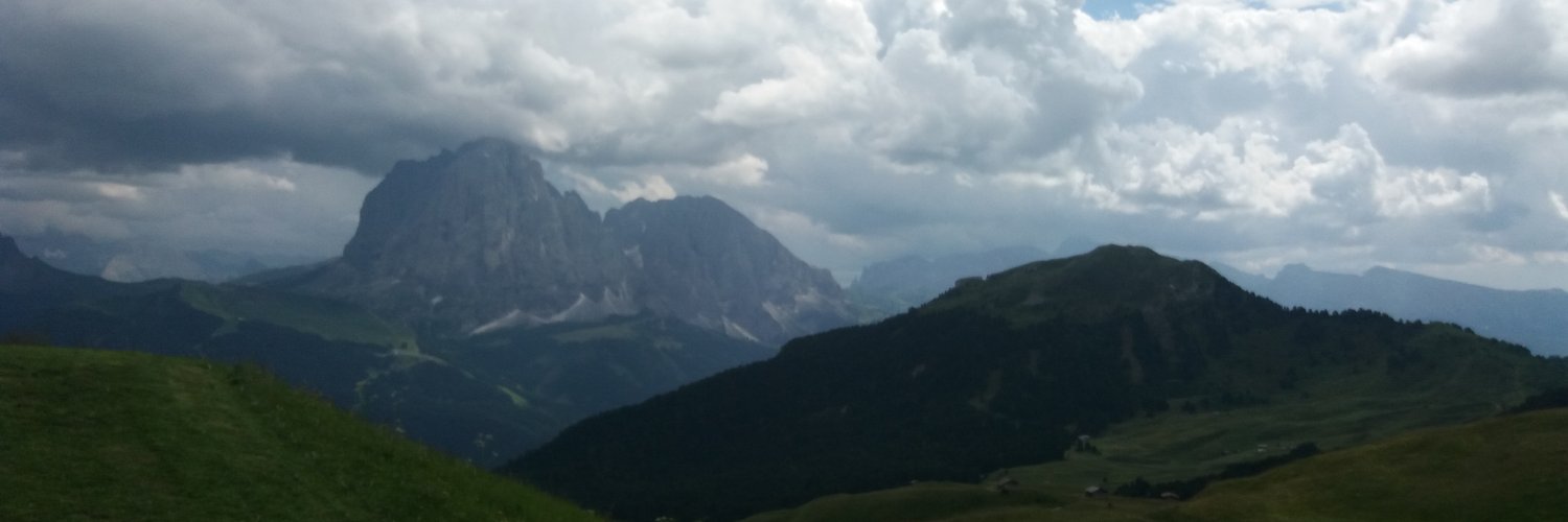 FloraSportelli's profile banner image