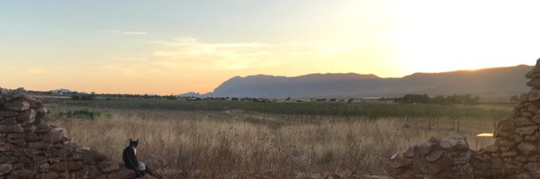 DavidCastle_ Profile Banner