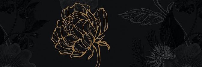 MafrAlv's profile banner image