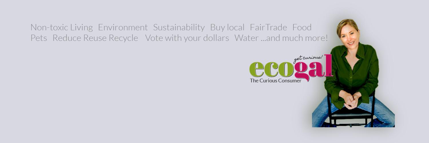 EcoGalTV's profile banner image