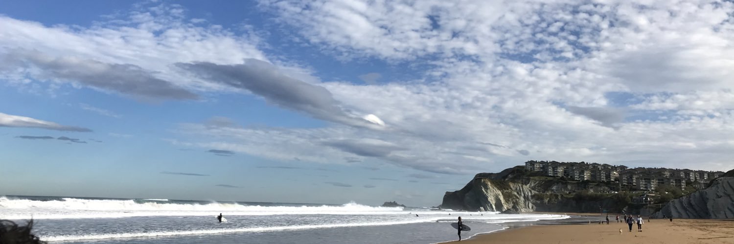 June Ansoleaga banner