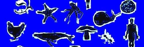 otorras's profile banner image