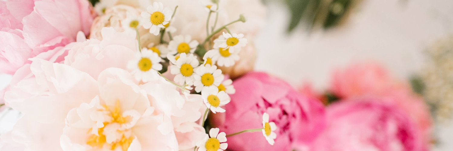 LCLaurenConrad banner